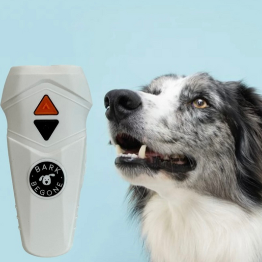 black and white dog looking up, white Bark Begone device next to them