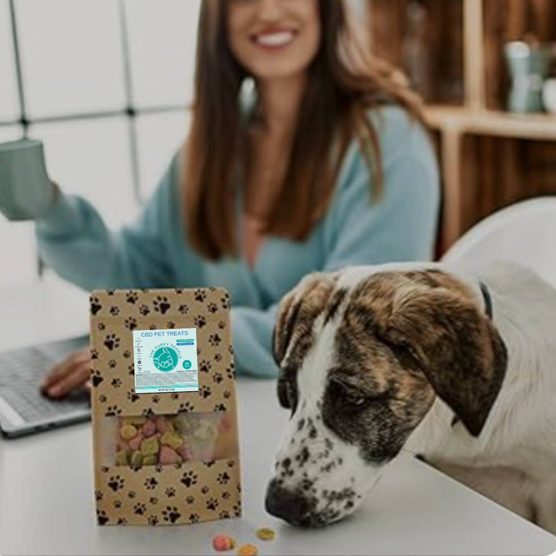 dog eating treats on table next to bag, woman in background smiling with coffee and computer