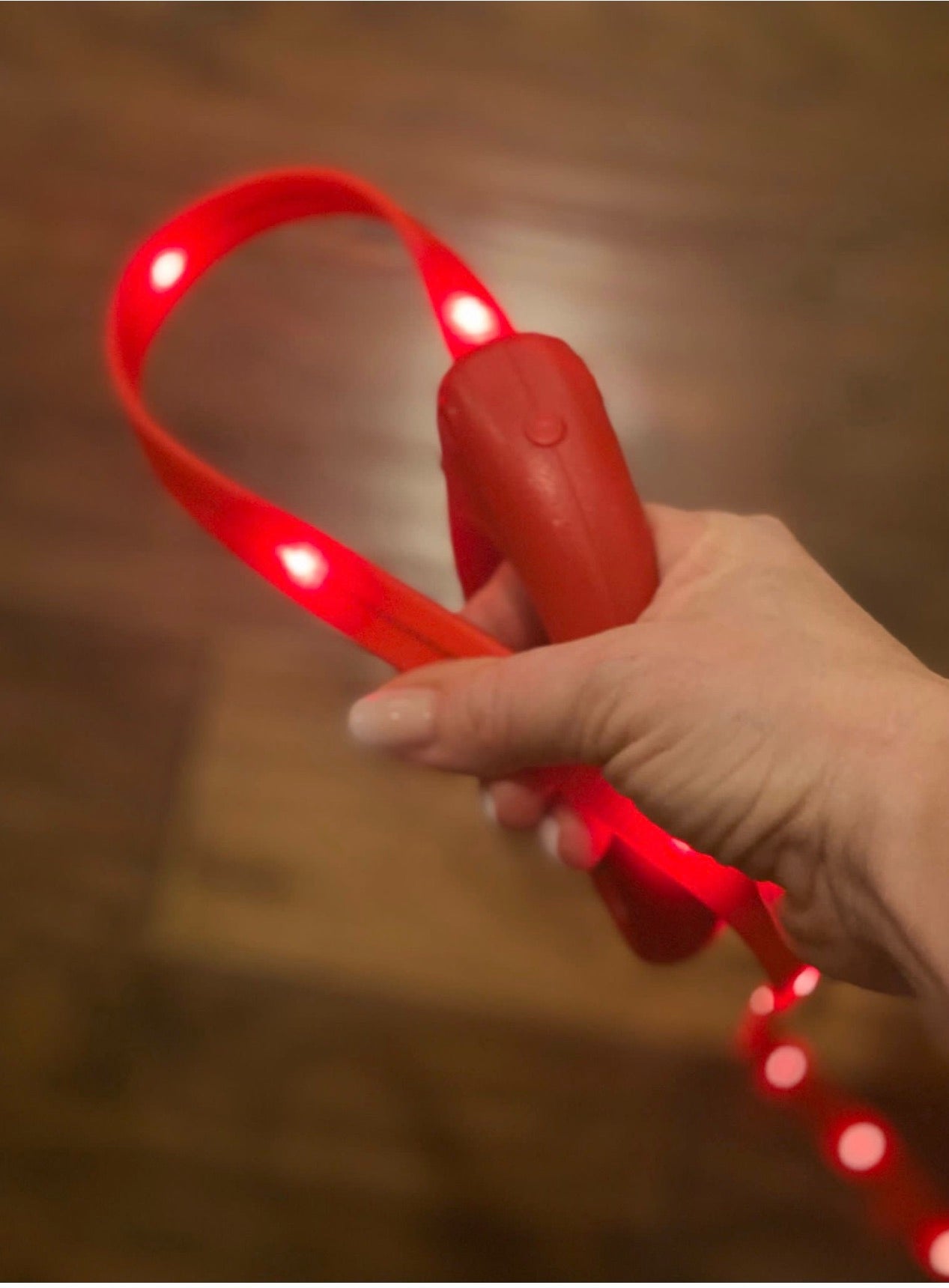 RED Glo Leash - Waterproof LED Glow Leash For Dogs - Bark Begone