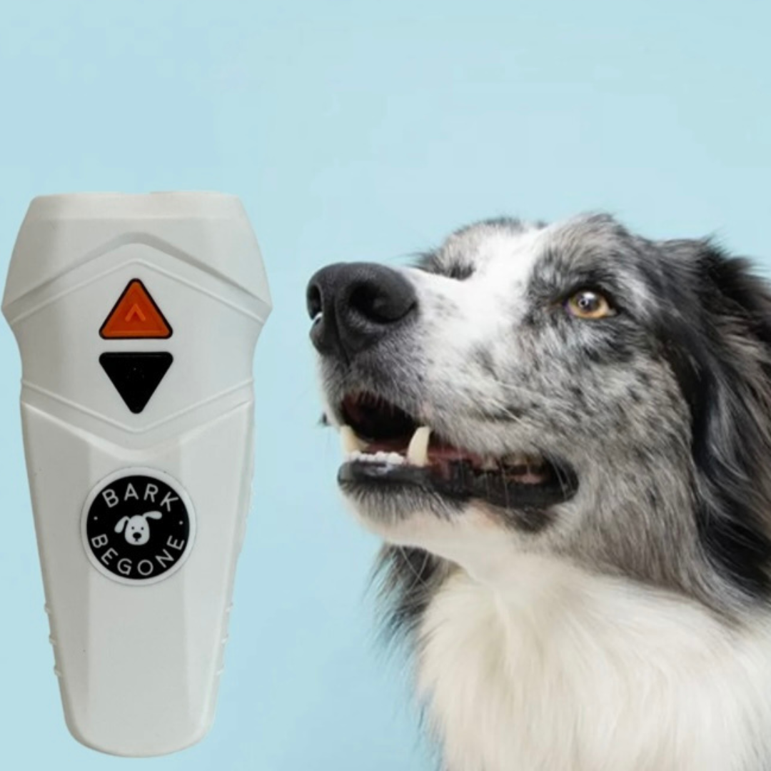 Bark Begone Rechargeable dog training device with dog next to it, blue background