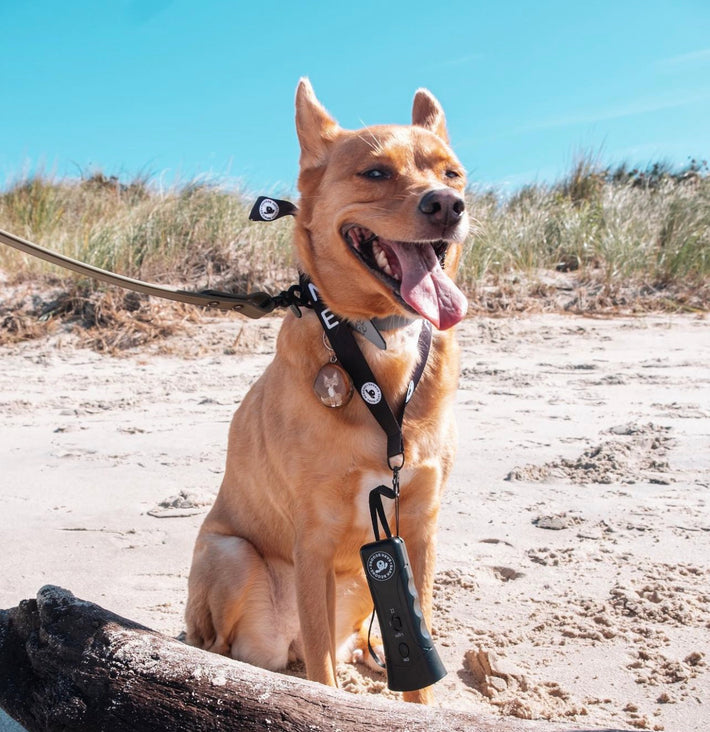 Bark Begone Ultrasonic Dog Trainer The Best Dog Barking Device