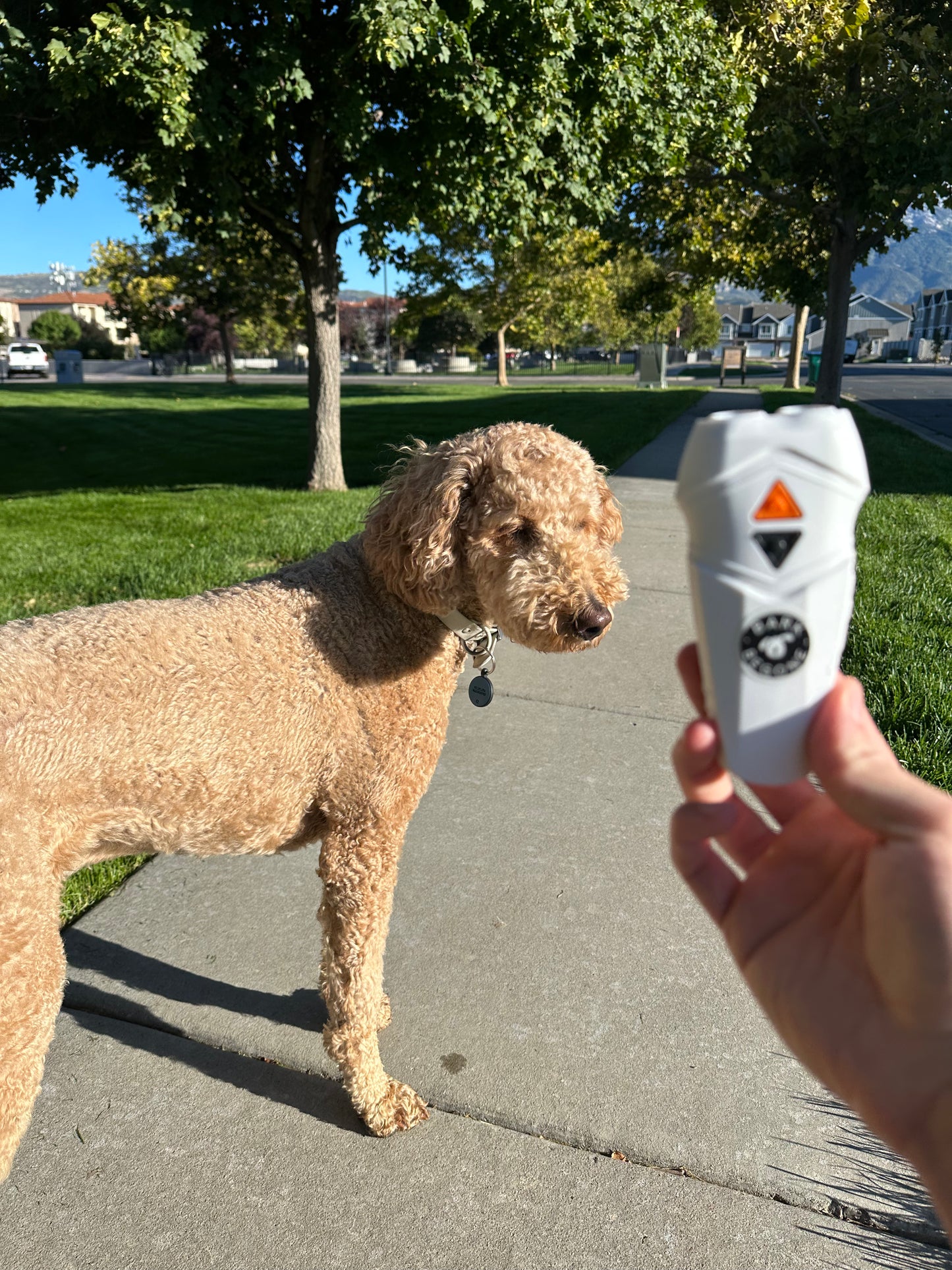 Bark Begone Rechargeable Dog Trainer - Anti-bark Device