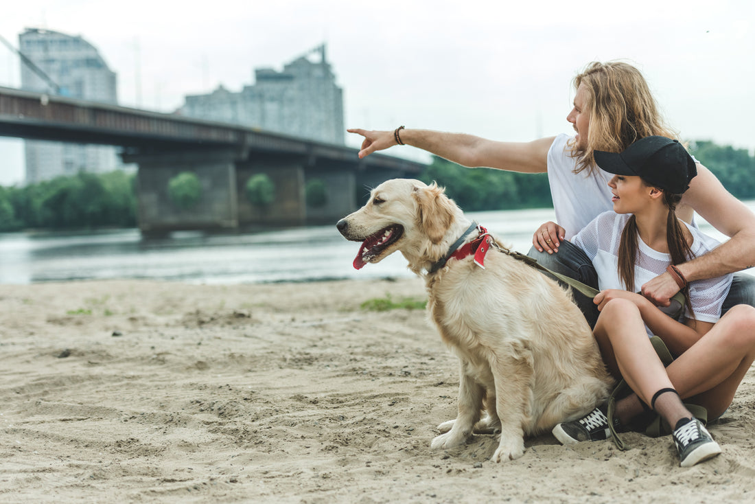 Bark Begone Ultrasonic Dog Trainer The Best Dog Barking Device