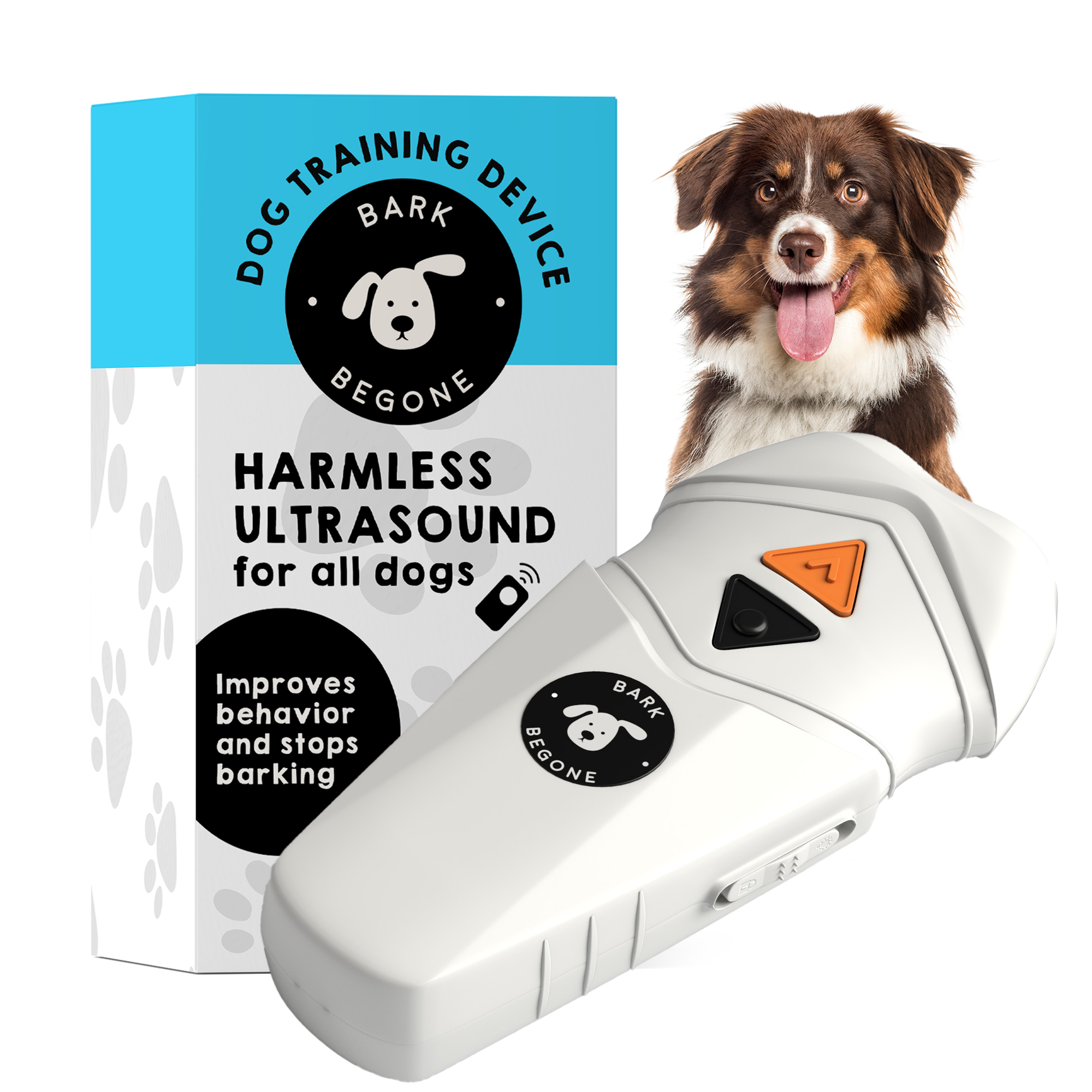 Excessive Barking Old Dog Barks All The Time How To Teach An Old