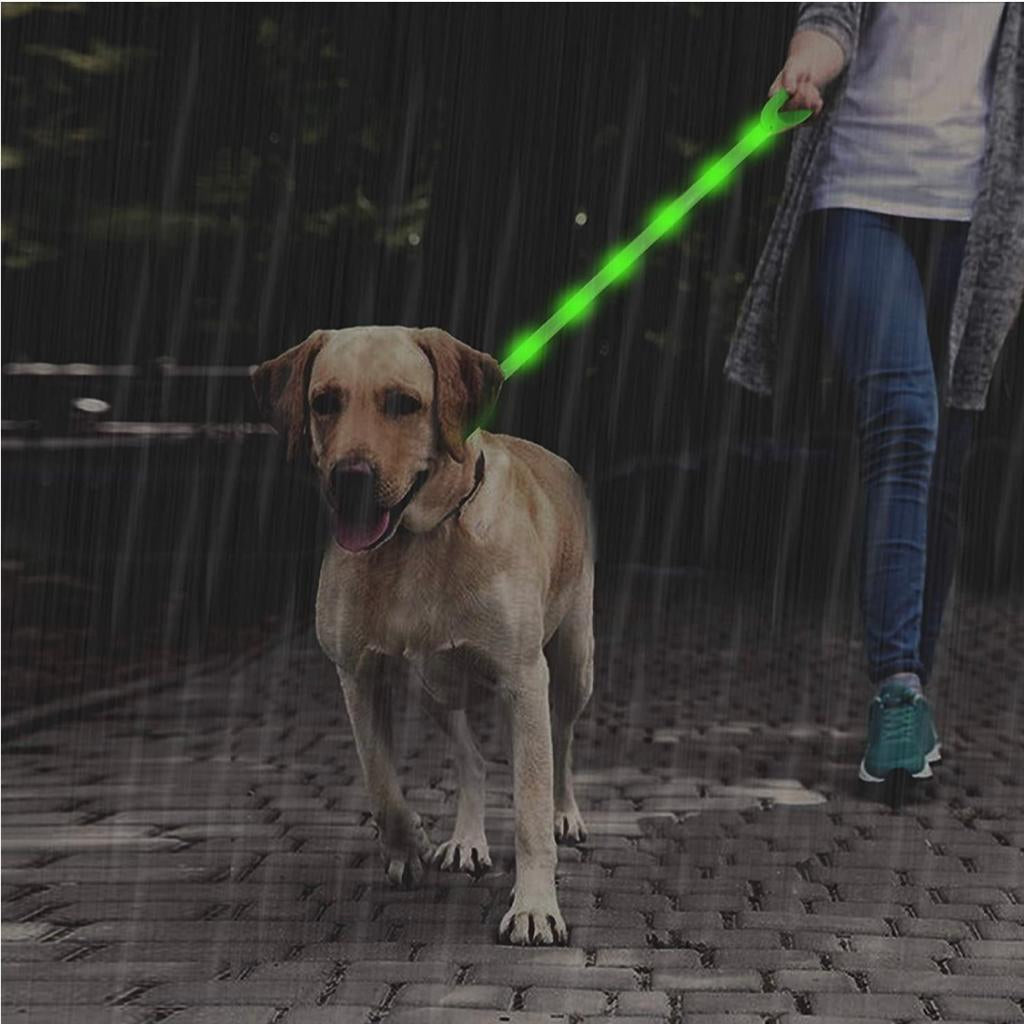 GREEN Glo Leash - Waterproof LED Glow Leash For Dogs - Bark Begone