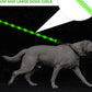 GREEN Glo Leash - Waterproof LED Glow Leash For Dogs - Bark Begone